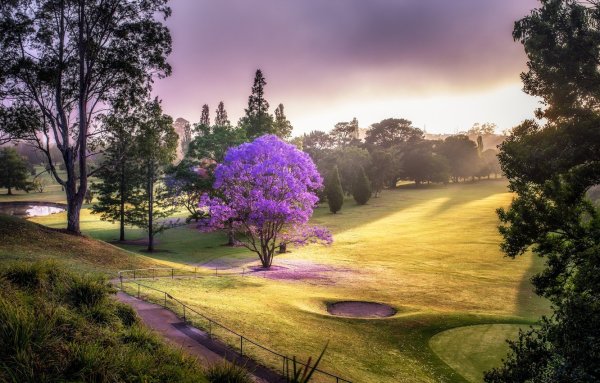 Гейзер Флай штат Невада