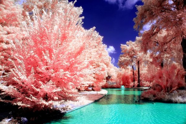 Необыкновенные пейзажи