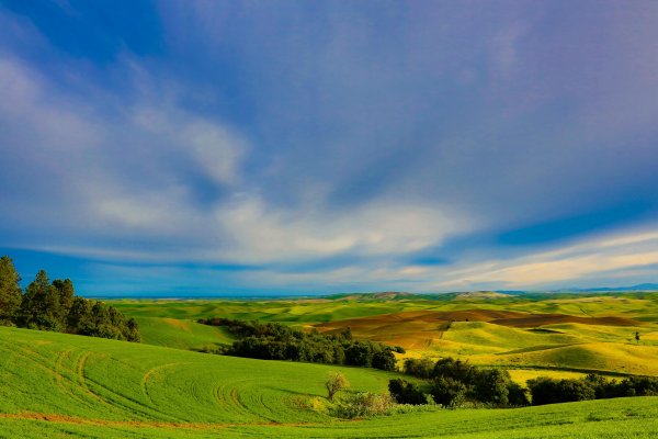 Пейзаж холмы