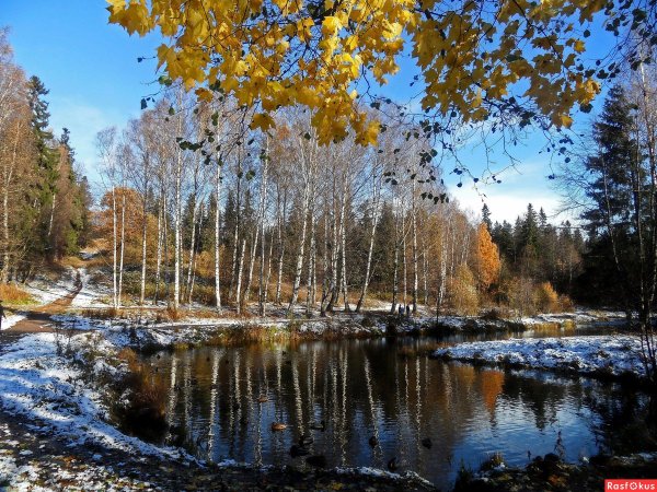 Красивая природа ноября