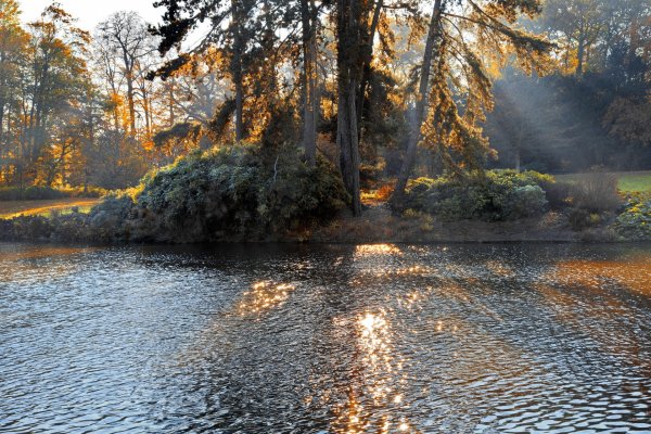 Осенний лес с озером