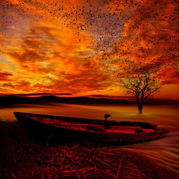 Оранжевый пейзаж