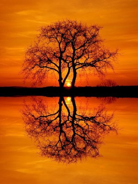 Оранжевый пейзаж