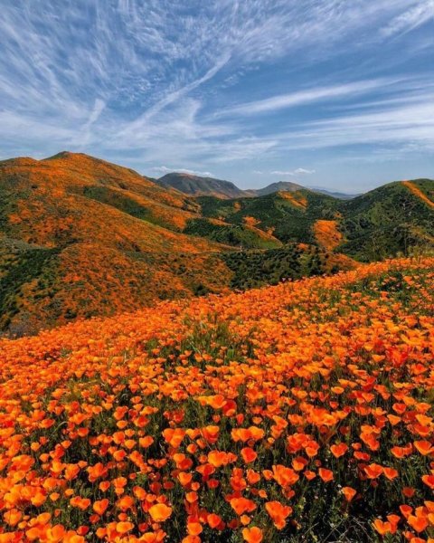 Художница Alena Aenami