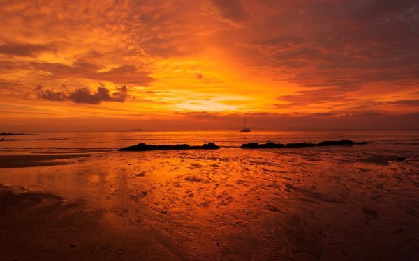 Красивый осенний лес