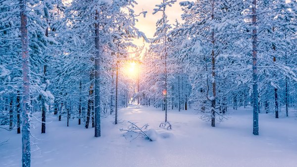 Красивая зима