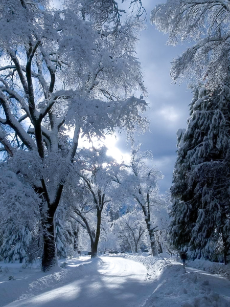 Зимний пейзаж