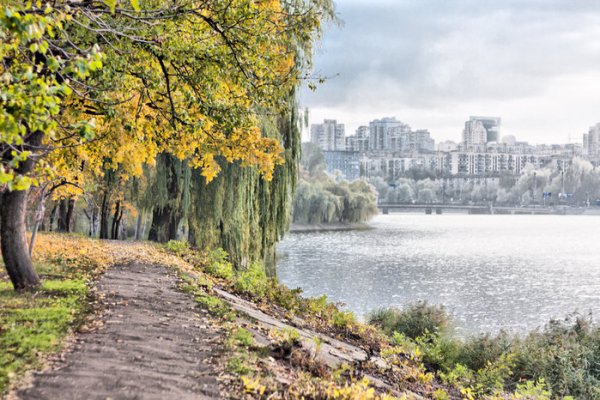 Парк Щербакова осень