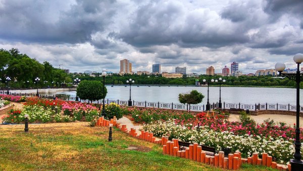 Природа Донбасса