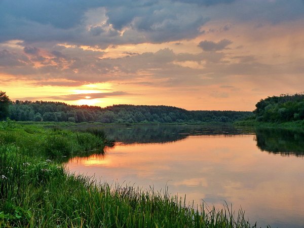 Донская степь Ростовская область
