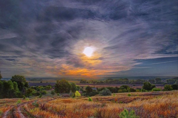 Тихий Дон пейзажи Дон