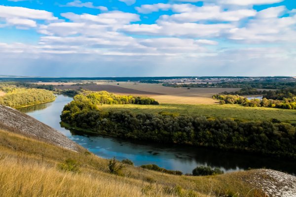Станица Вешенская Ростовская область природа