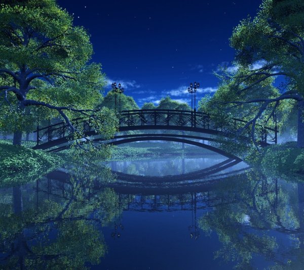 Озеро ночью в парке