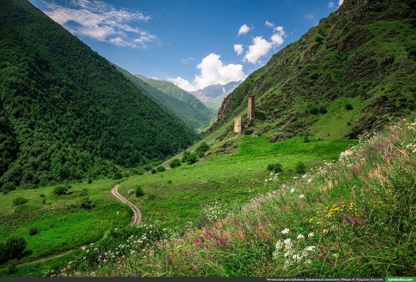 Чечня природа Нашха