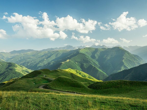 Кавказ и Горная Чечня