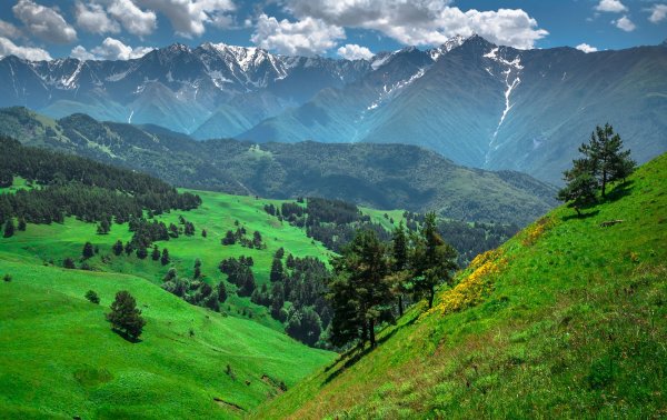 Гора Ашенете Чечня