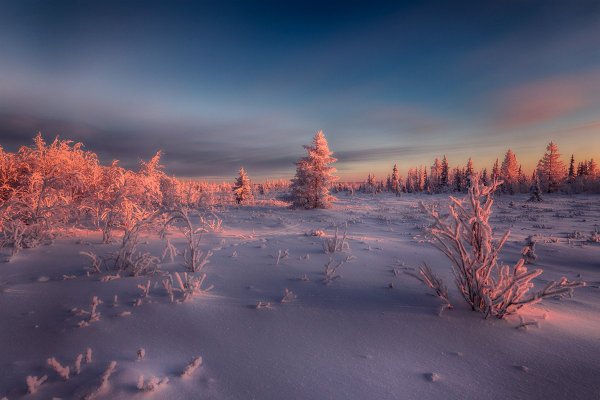 Новый Уренгой тундра зима