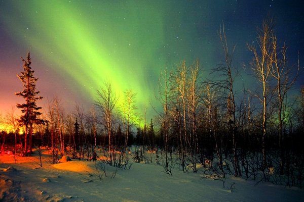 Северное сияние в тундре