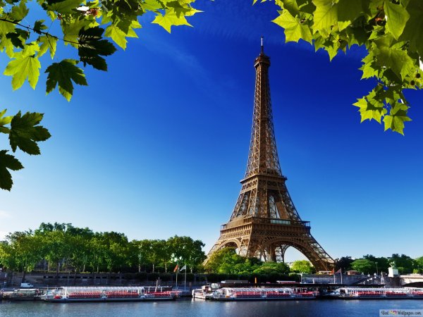 Телевизор Samsung qe43q67tau