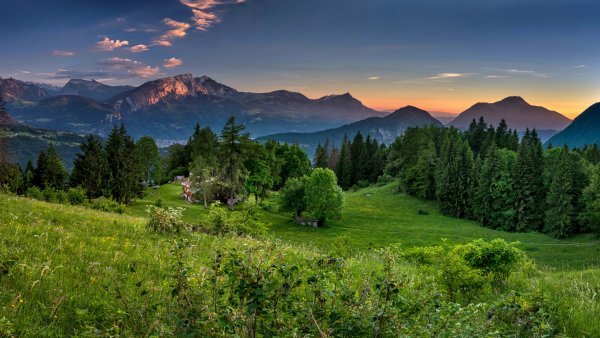 Лес горы панорама