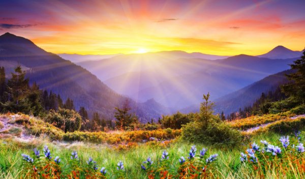 Телевизор Doffler 40gfs67