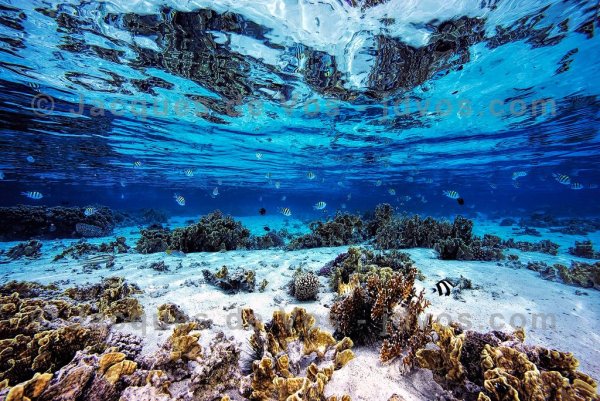 Подводная Лагуна