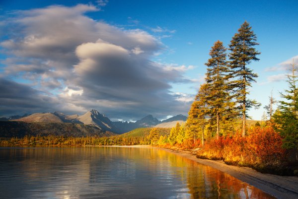 Природа Колымы