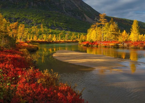 Радуга круг природа