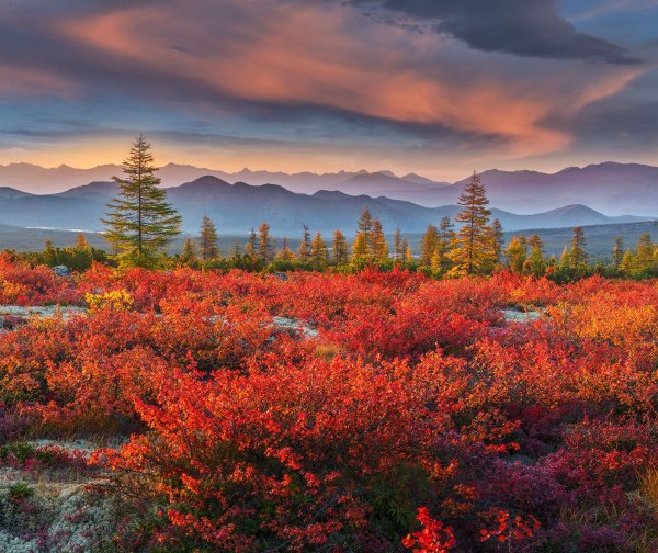 Горы у озера Джека Лондона