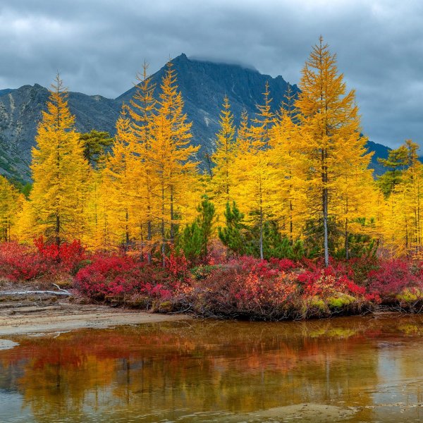 Магаданская область «Золотая Колыма»