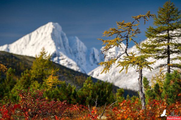 Озеро Джека Лондона Магаданская область
