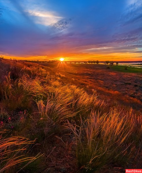 Астрахань степь рассвет