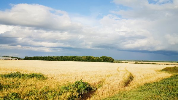 Донская степь Ростовская область