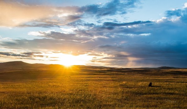 Степь Хакасии природа Хакасии