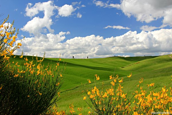 Ставрополье, лето, степь