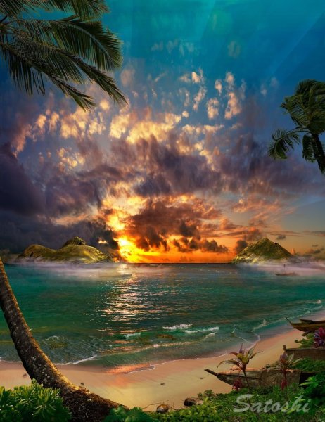 Тропический пейзаж