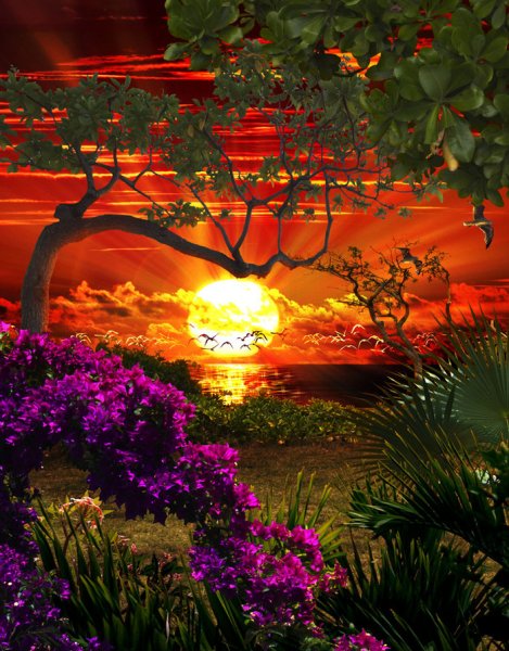 Природа Востока