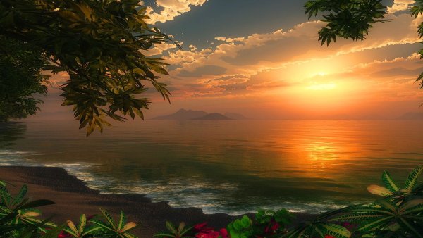 Вечернее солнце на море