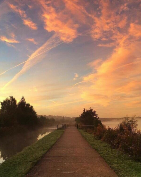 Сияющее лето