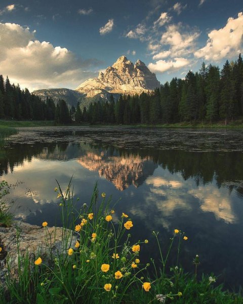 Пейзаж Вдохновение