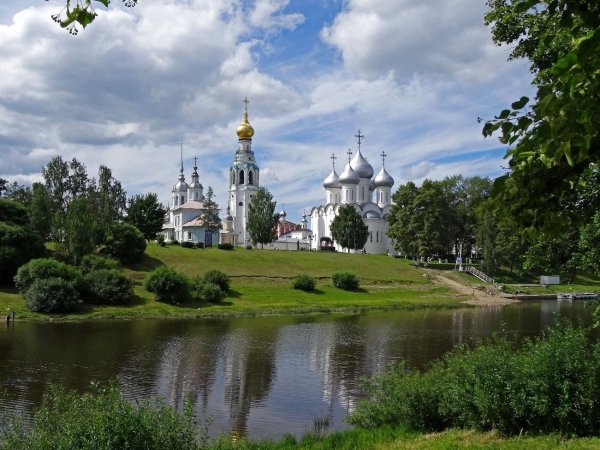 Вологда природа береза