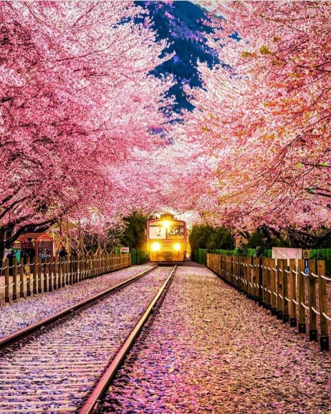 Япония манзаралари