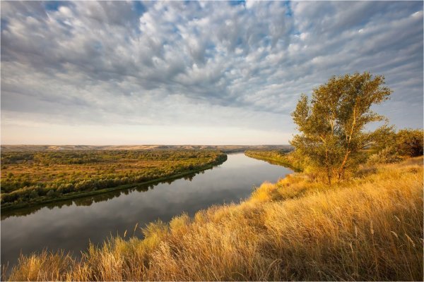 Донские степи Ростовской области
