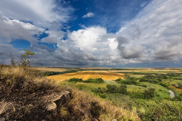 Провальская степь (Ростовская область)