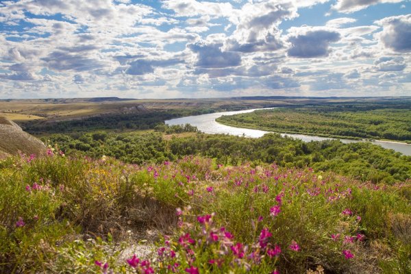 Река Дон в Ростовской области
