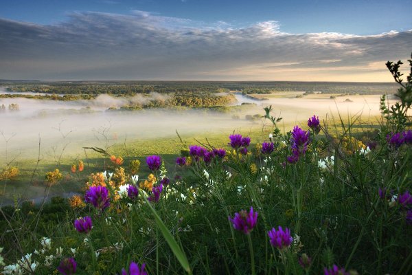 Ростовская область Дон пейзажи