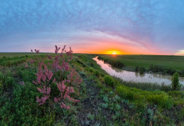 Природа Ростовской области Дон