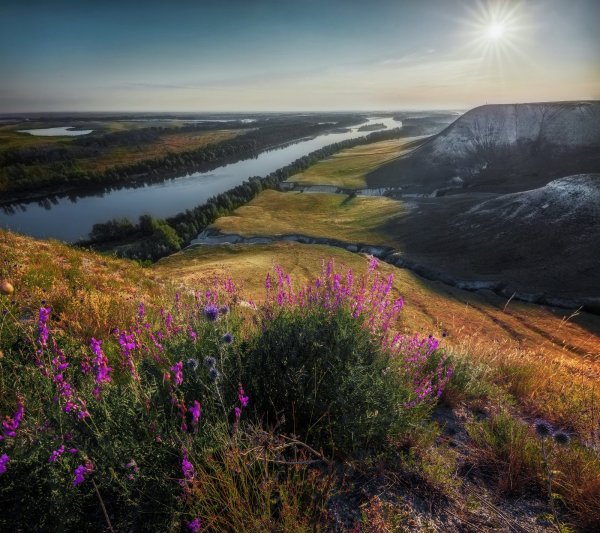 Волгоград природа