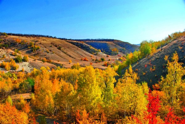 Центральная набережная им. 62-й армии Волгоград