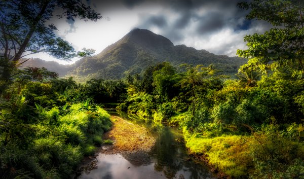 Джунгли Индокитая